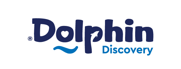 Dolphin Discovery